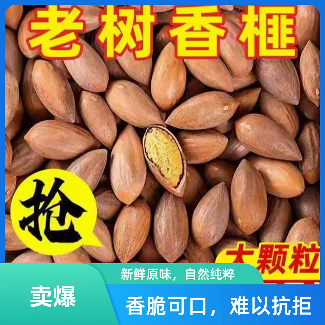 【施施专属次日达】浙江绍兴特产老树香榧零食顺丰包邮250g一袋香榧坚果