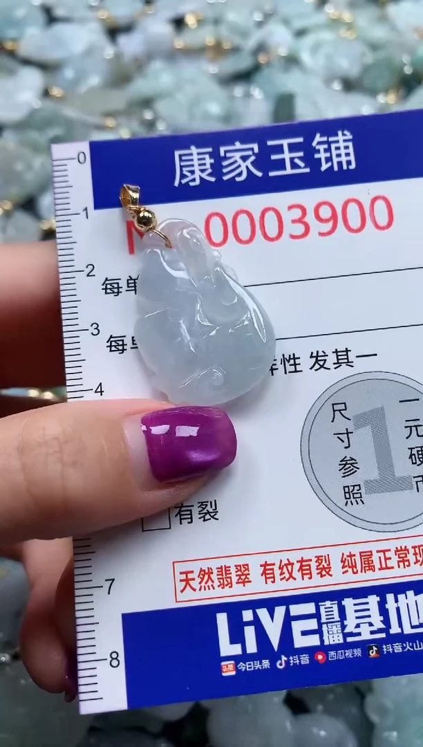 颈饰未镶嵌翡翠3900