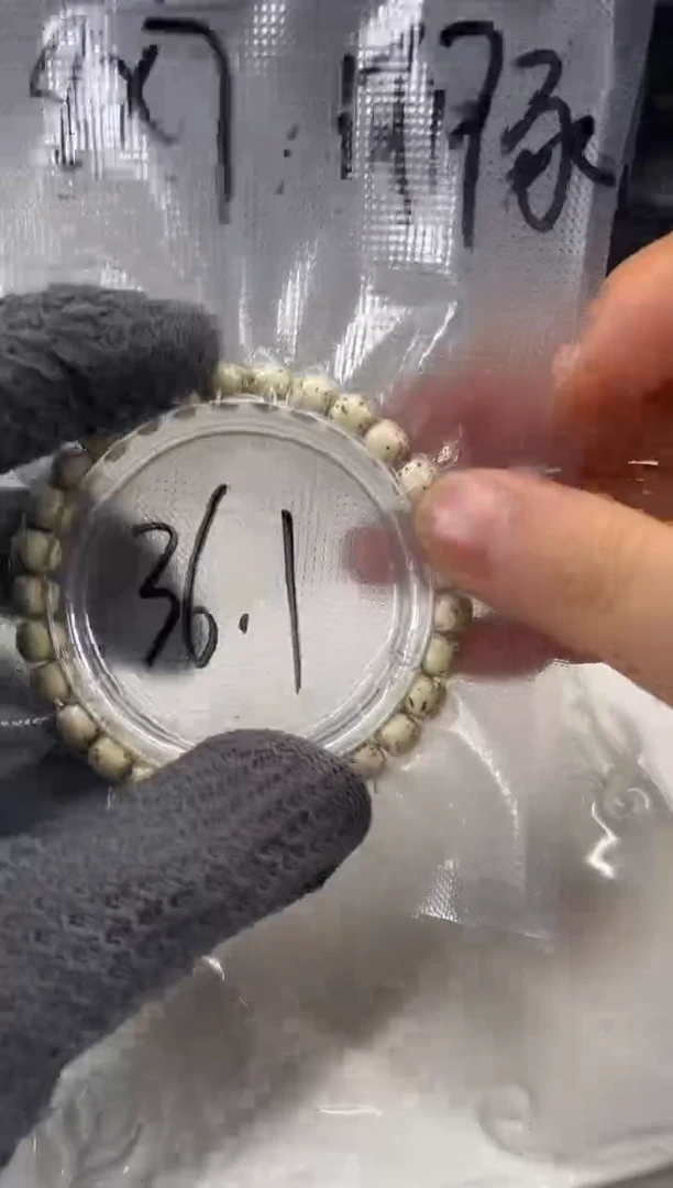 手串星月菩提星月菩提大放送.河豚