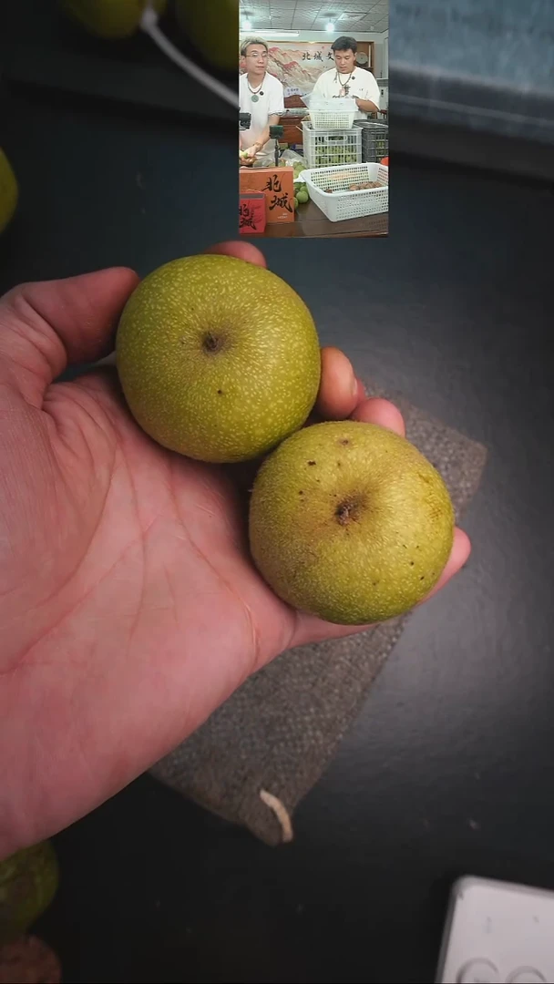 文玩核桃把件青皮磨盘52尺左右（售出不退不换）