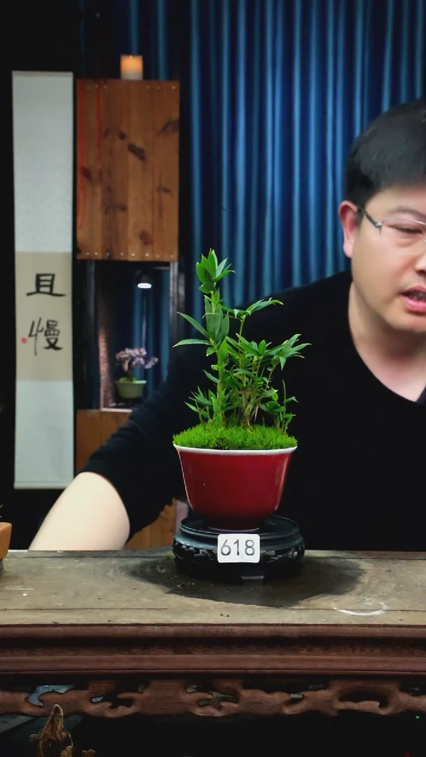 【闪购商品】苔藓微景观618号