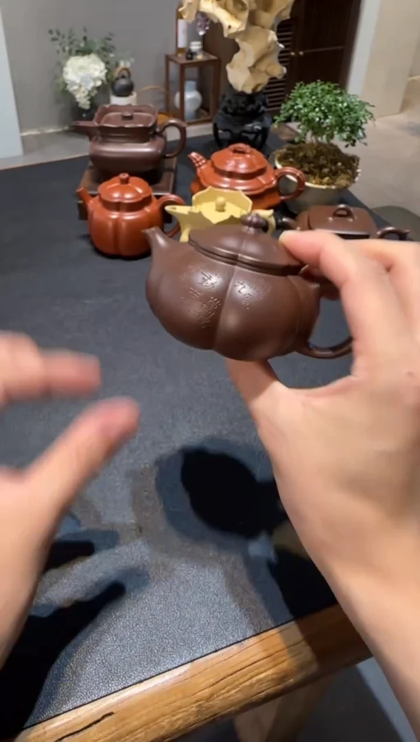 茶壶紫砂用****5大鱼海棠