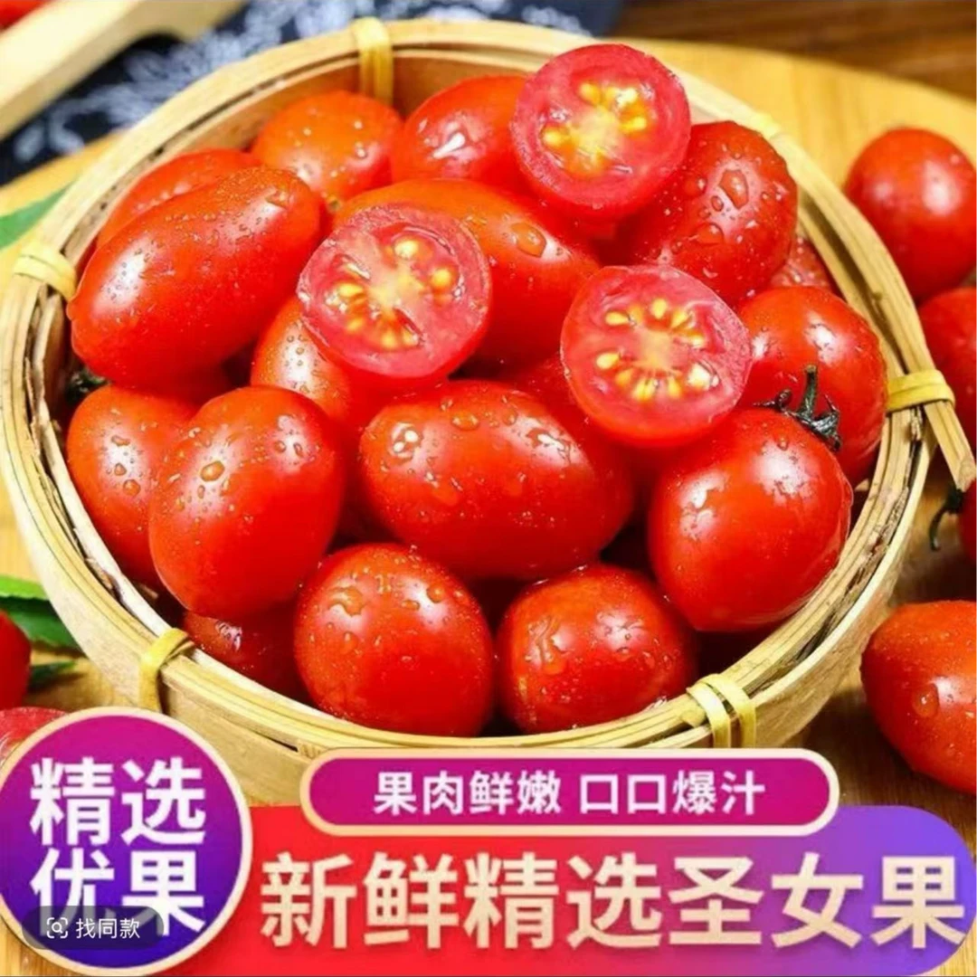 新鲜圣女果5斤现摘当季小番茄小西红柿水果