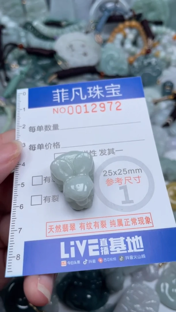 颈饰未镶嵌翡翠12972