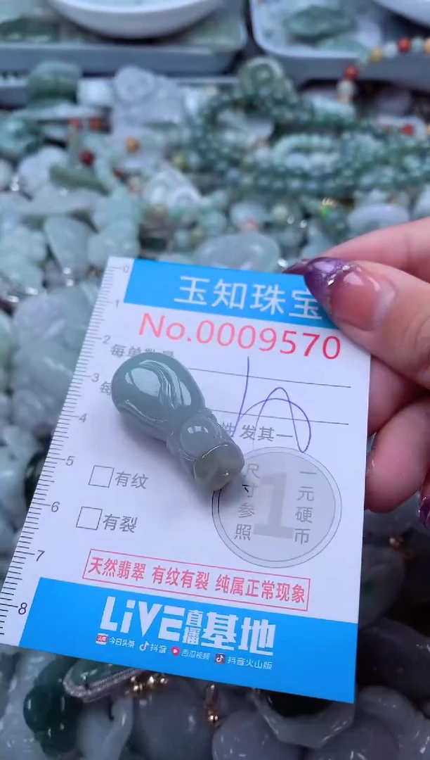 翡翠未镶嵌吊坠(不含链)9570