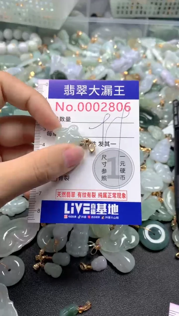 颈饰未镶嵌翡翠2806
