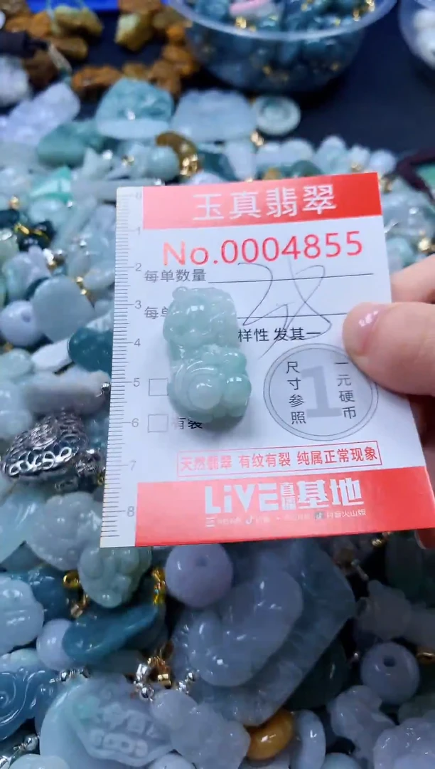 翡翠未镶嵌吊坠(不含链)4855