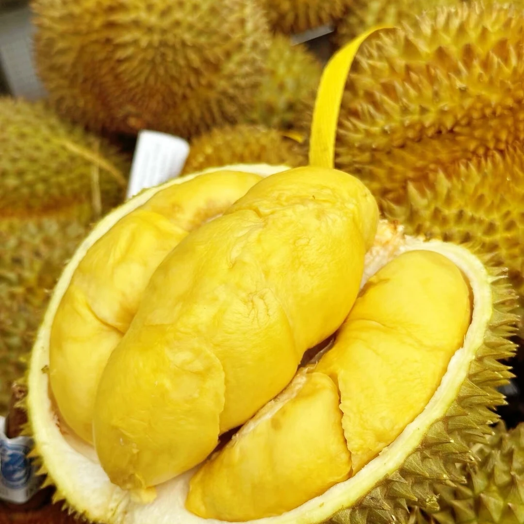 【小时达】泰国树熟金枕核小鲜榴莲 刚刚到货 软糯香甜1-8斤鲜果带壳榴莲1-2斤金枕泰国
