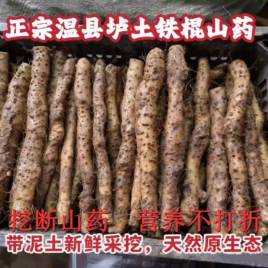 采挖断果垆土铁棍山药河南焦作特产温县怀山药软糯粉面新鲜挖断