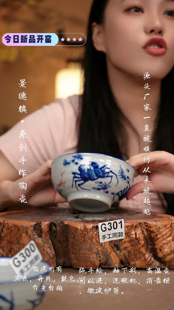其他G301 新十二器