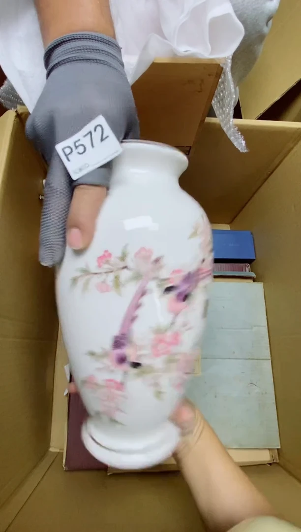 瓷片猫*鹰P572默认微瑕，谨慎参拍 有纪念款