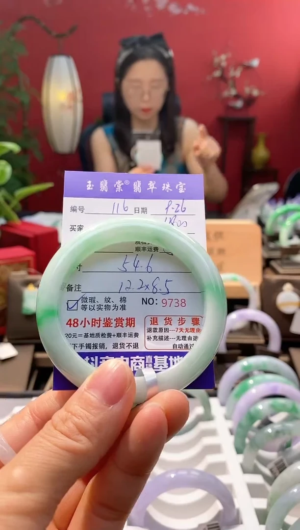 未镶嵌手镯翡翠翡翠116