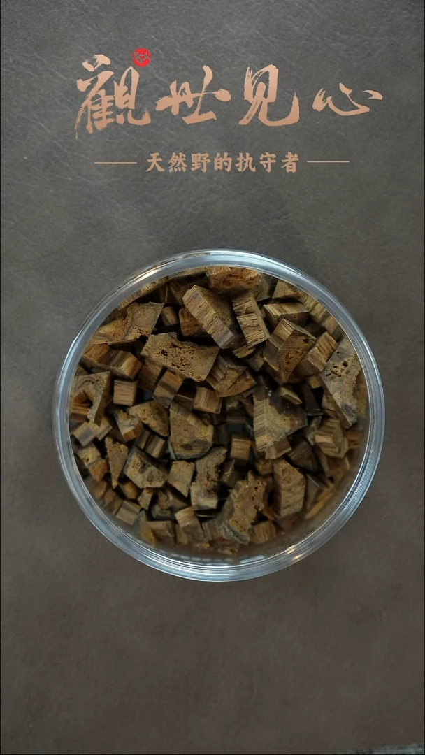 沉香沉香碎屑西马老料 九分沉  3g
