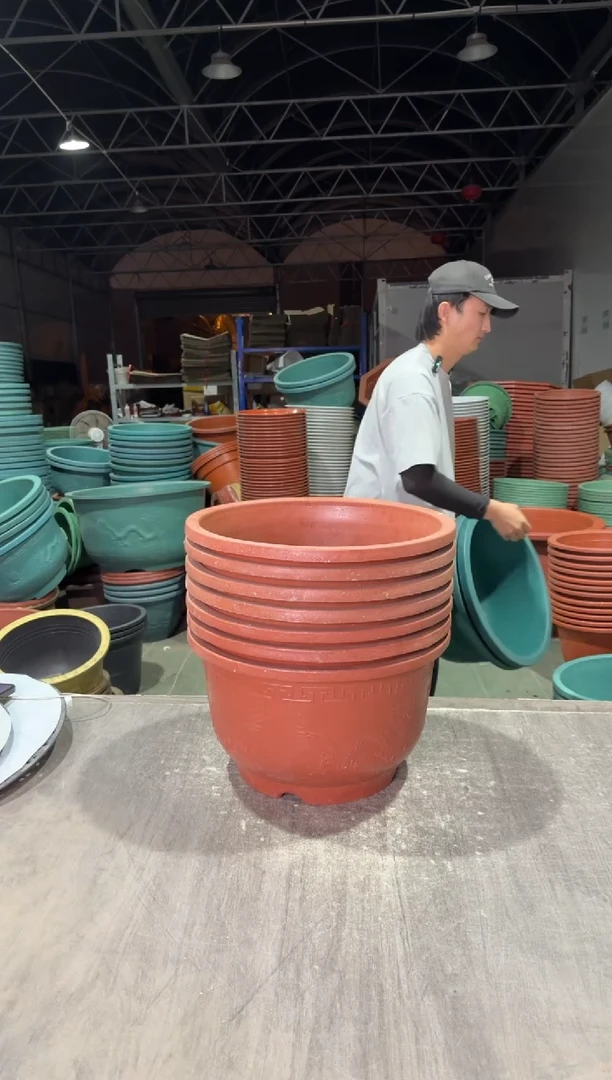 42红龙盆五个有孔