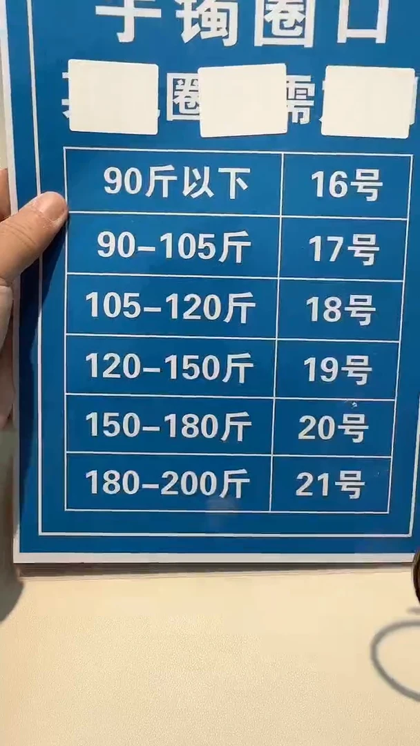瓷片瓷器都是大宝贝儿瓷器都是大漂亮973