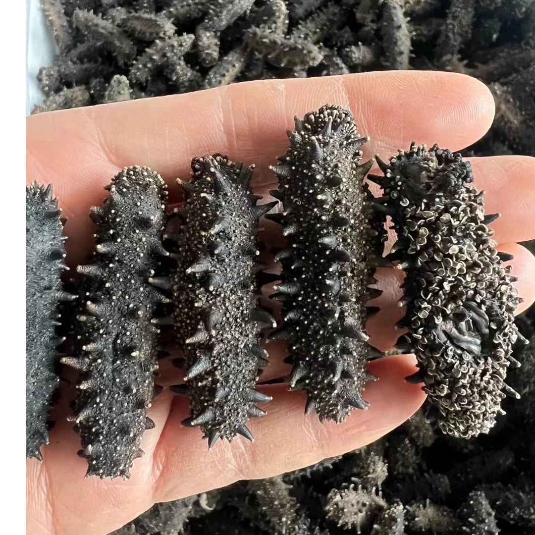 【国标一级淡干】大连深海辽刺参淡干海参