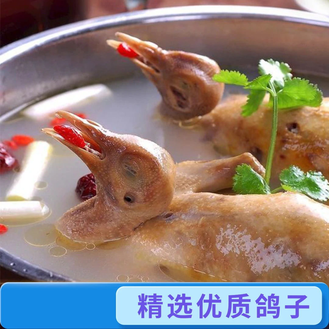 【拍3发4】飞天鸽土鸽子新鲜农家鸽肉煲汤营养滋补单只净重250g起