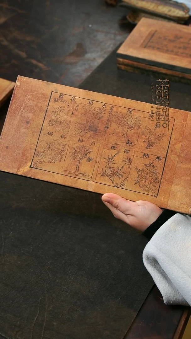 大可老师古籍干炮台15X30