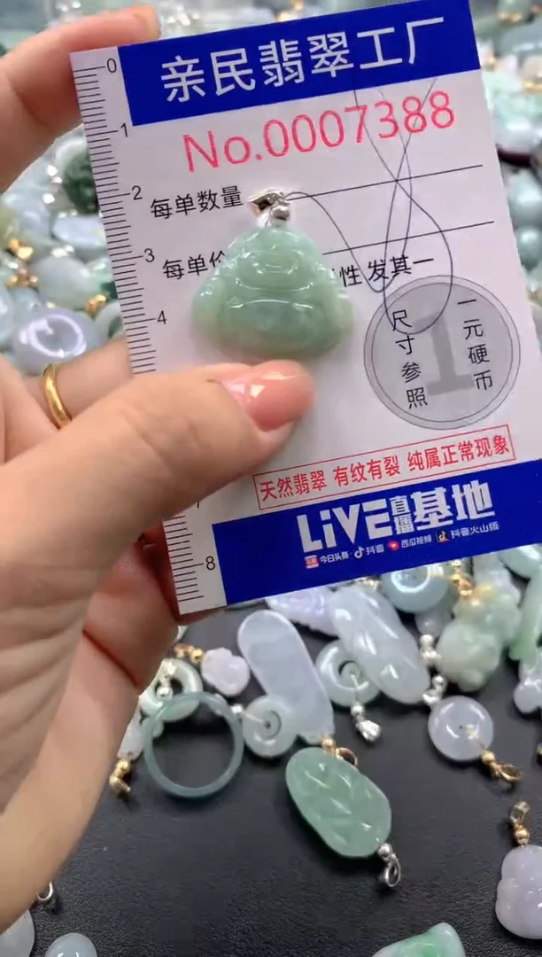 颈饰未镶嵌翡翠7388