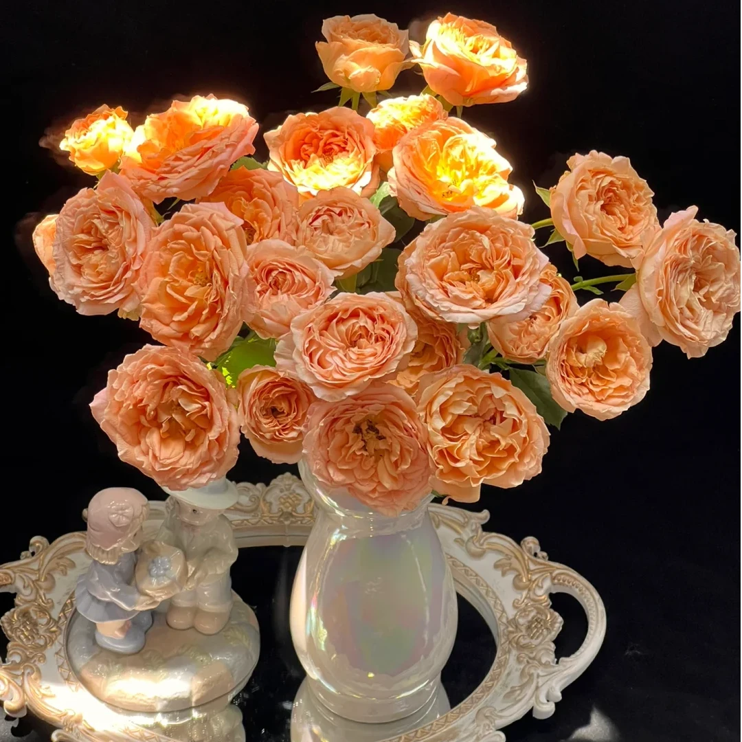 【杏色蕾丝AK】10枝多头玫瑰  基地直发 | 全场任意满两单鲜花包