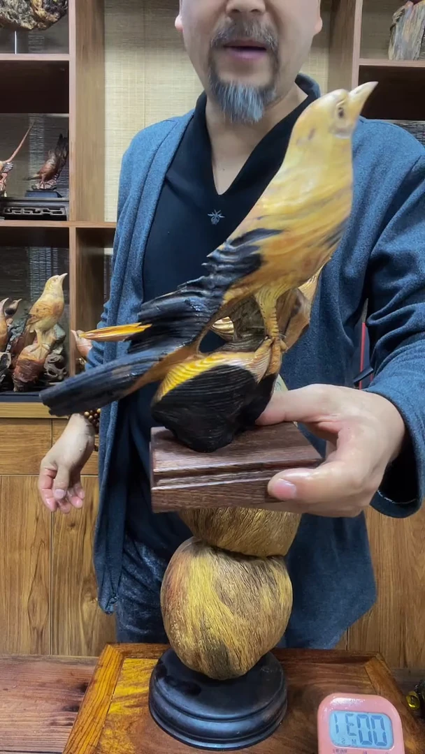 松木卢*雄定向 卢韩雄