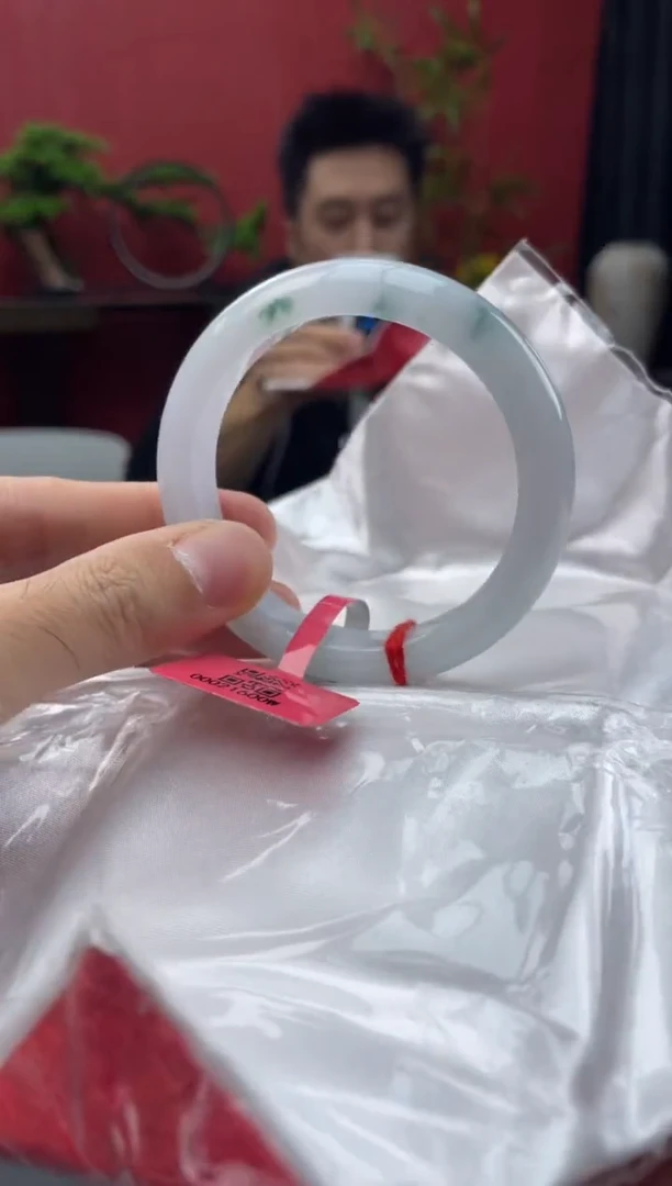 未镶嵌手镯翡翠8