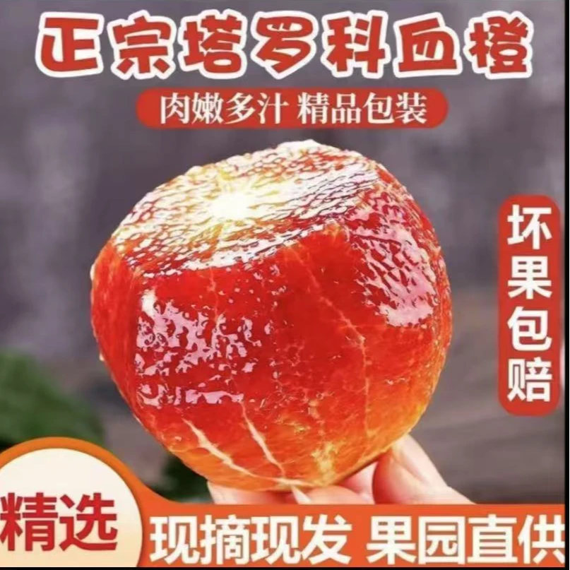 【带箱9-10装】正宗玫瑰血橙新鲜应季水果现采现发