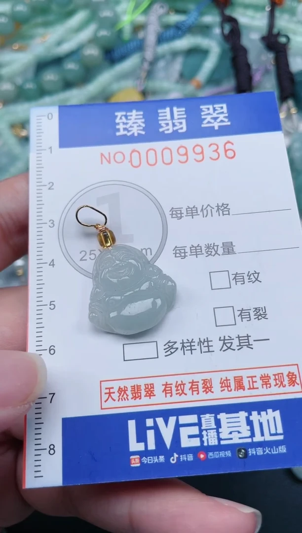 翡翠未镶嵌颈饰.0009936