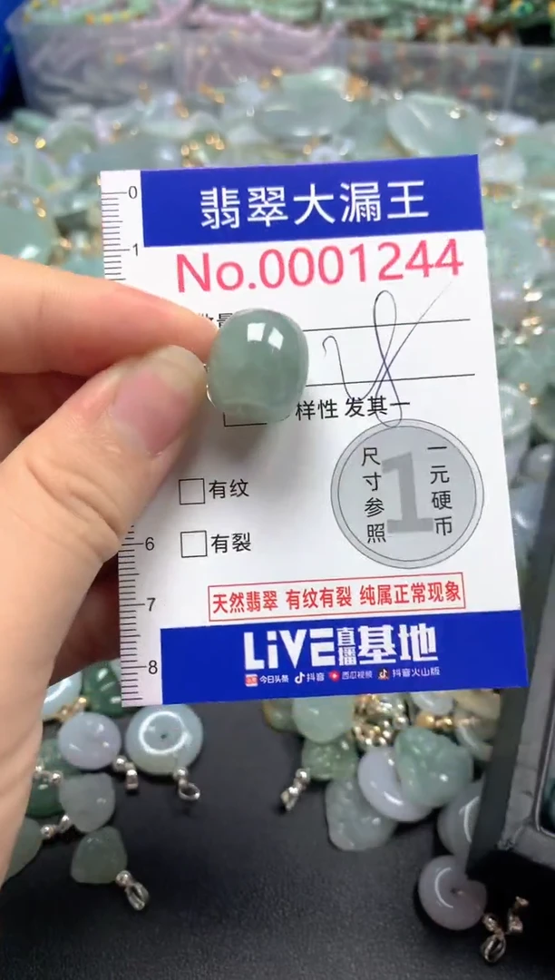 翡翠未镶嵌吊坠(不含链)1244