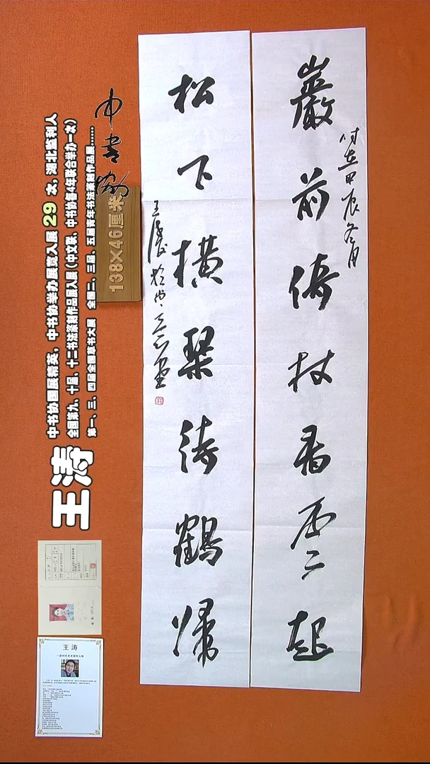 【闪购商品】书法367王涛书法作品