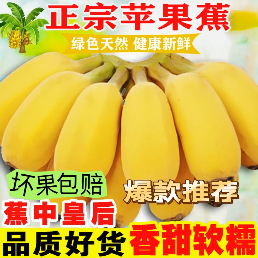 正宗广西苹果蕉产地直发3斤5斤现摘现发新鲜水果粉蕉芭蕉香蕉