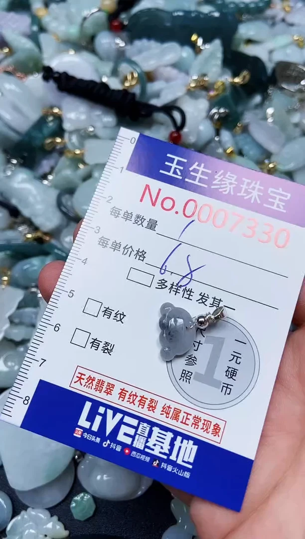 【闪购商品】翡翠颈饰未镶嵌闪购00007330