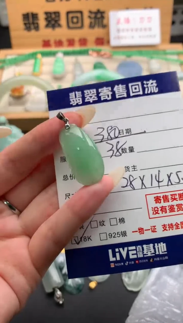 翡翠18K金镶嵌颈饰10139639