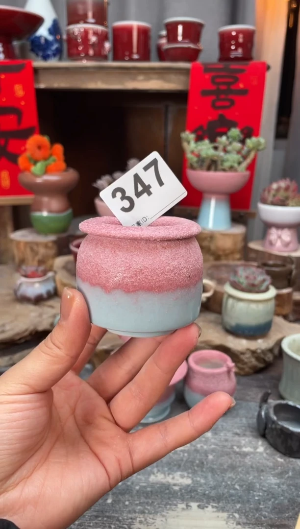 【闪购商品】摆件347知木小芳花盆