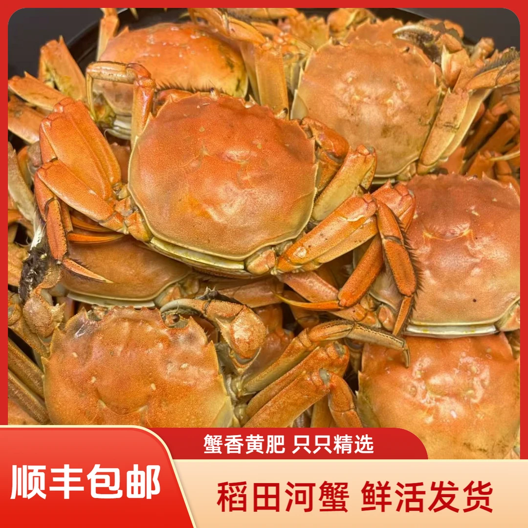 【顺丰包邮】稻田河蟹1.4～1.7两-约20只母活蟹