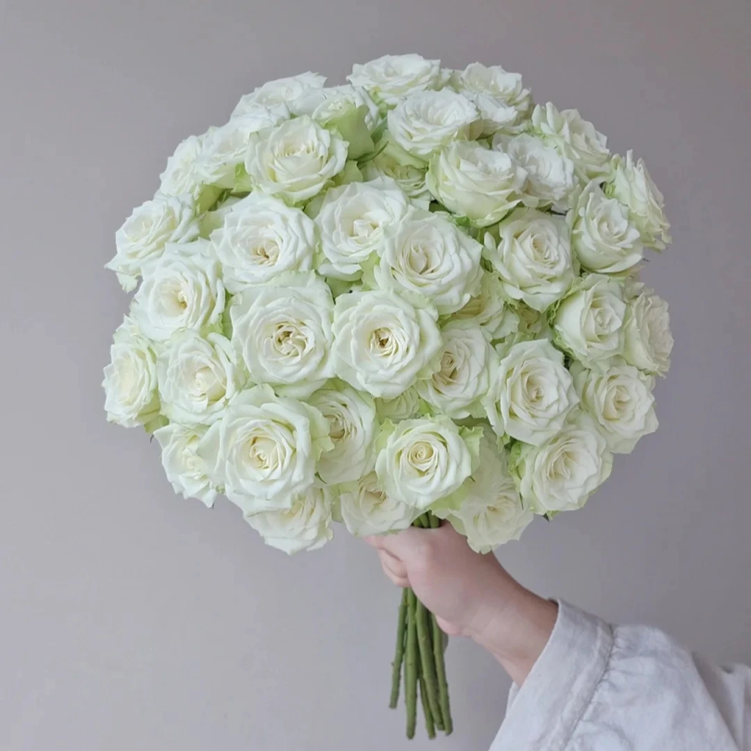 【半岛花铺】繁星泡泡多头玫瑰云南鲜花玫瑰花基地直发鲜切花