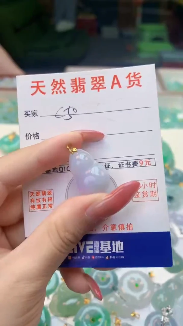 颈饰未镶嵌翡翠天然A货翡翠挂件