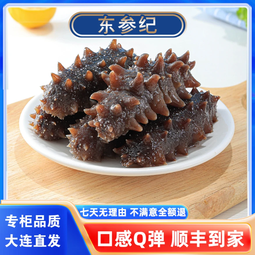 东参纪 海参【高端品质】大连辽参5-10头深海底播鲜食海参源头工厂