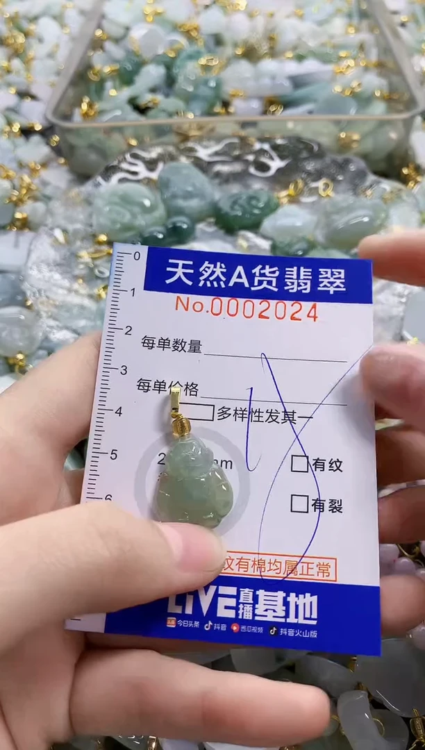 颈饰未镶嵌翡翠纯天然a货翡翠