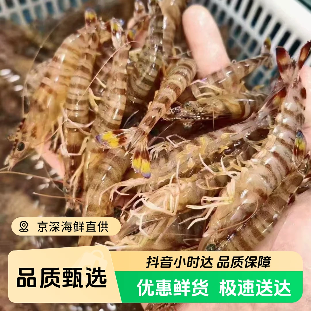 【鲜活】应季小基围虾250g-500g/份（约30-45只一斤）