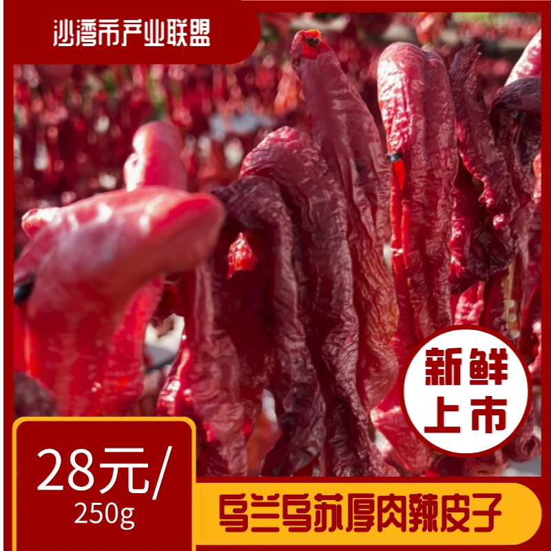 【人工晾晒】新疆乌兰乌苏厚肉辣皮子 微辣香甜自然晾晒干辣椒