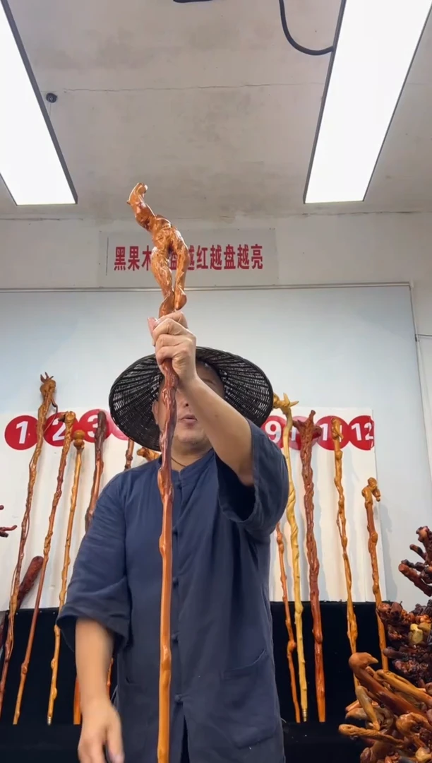 黑果木其他黑果木692