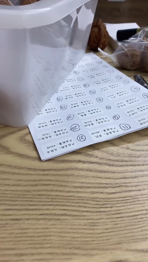 手串/手链核桃龍*【霸王龙】#####