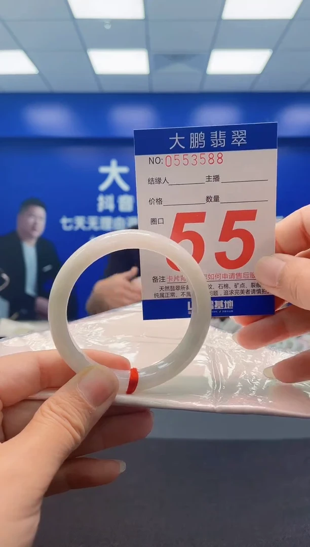 未镶嵌手镯翡翠AAAAAAAAA