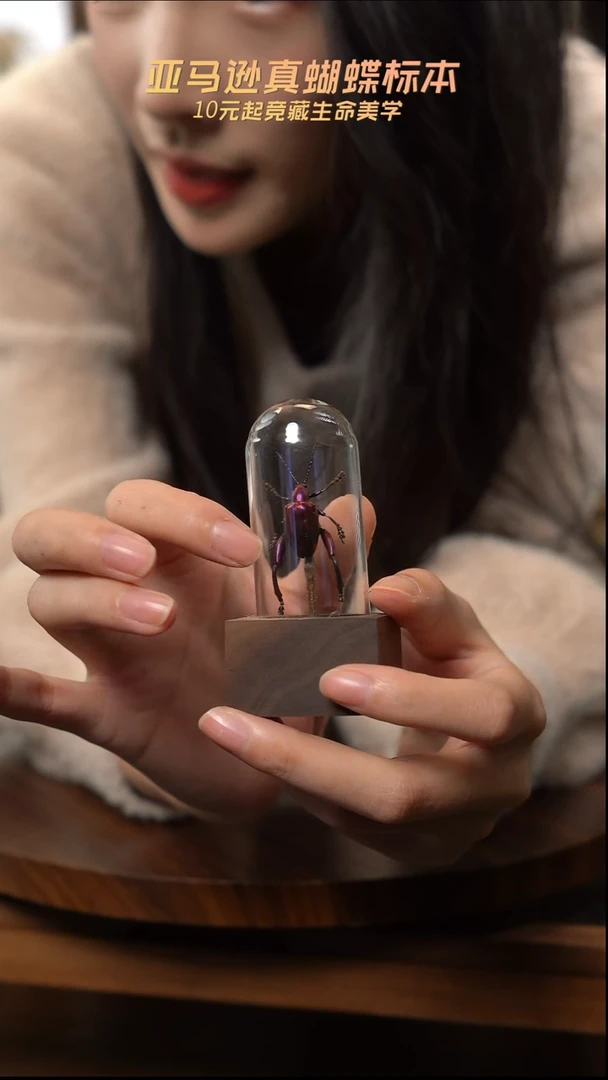 紫茎甲胡桃木试管款