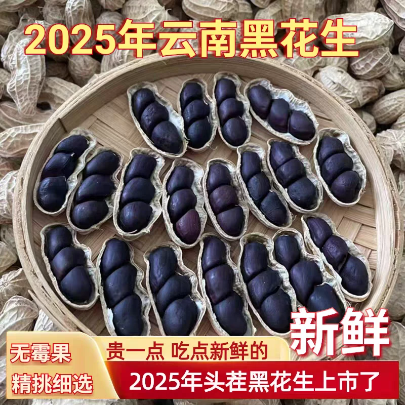 云南黑花生新货带皮新鲜湿花生生吃甘甜滋补生花生带壳湿花生