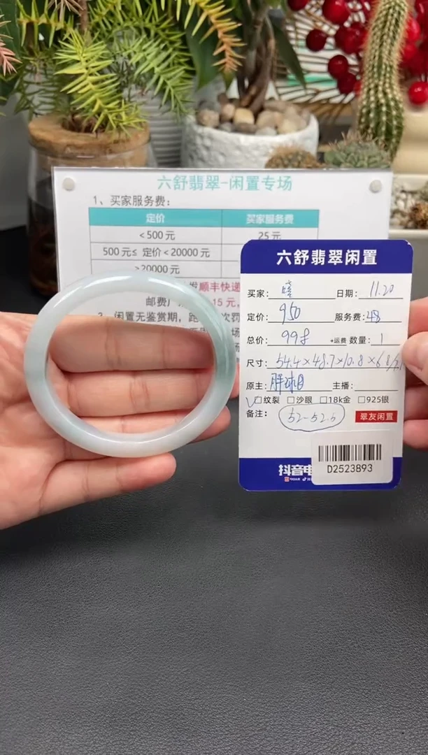 未镶嵌手镯翡翠嘻****?D2523893