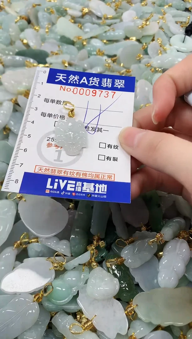 颈饰未镶嵌翡翠纯天然a货翡翠