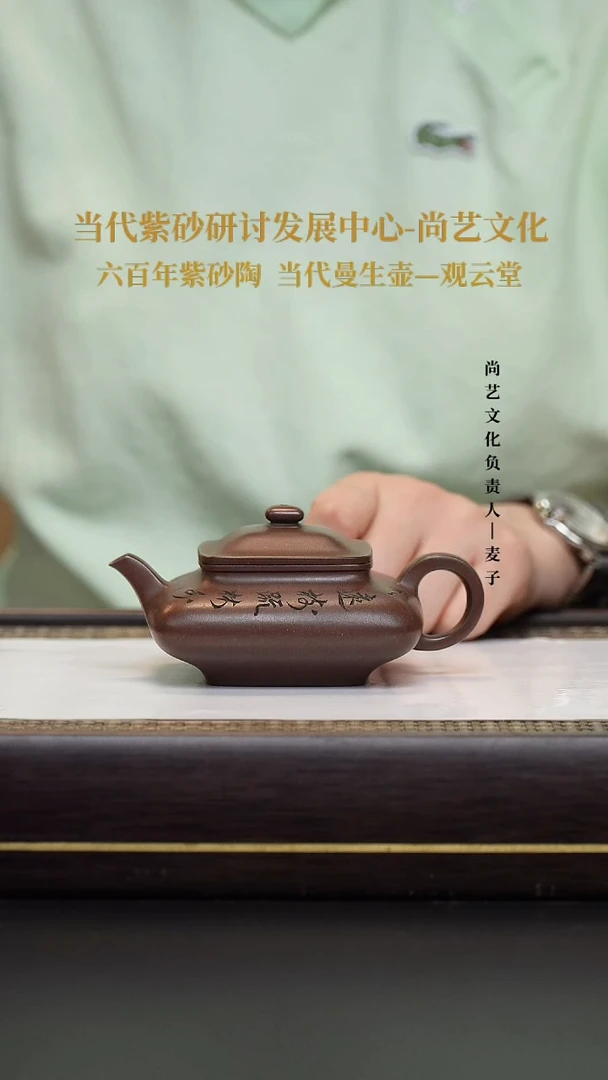 茶壶紫砂英*寒灰老人 冰窖底曹清 许云飞