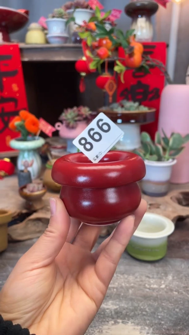 【闪购商品】摆件866知木小芳花盆
